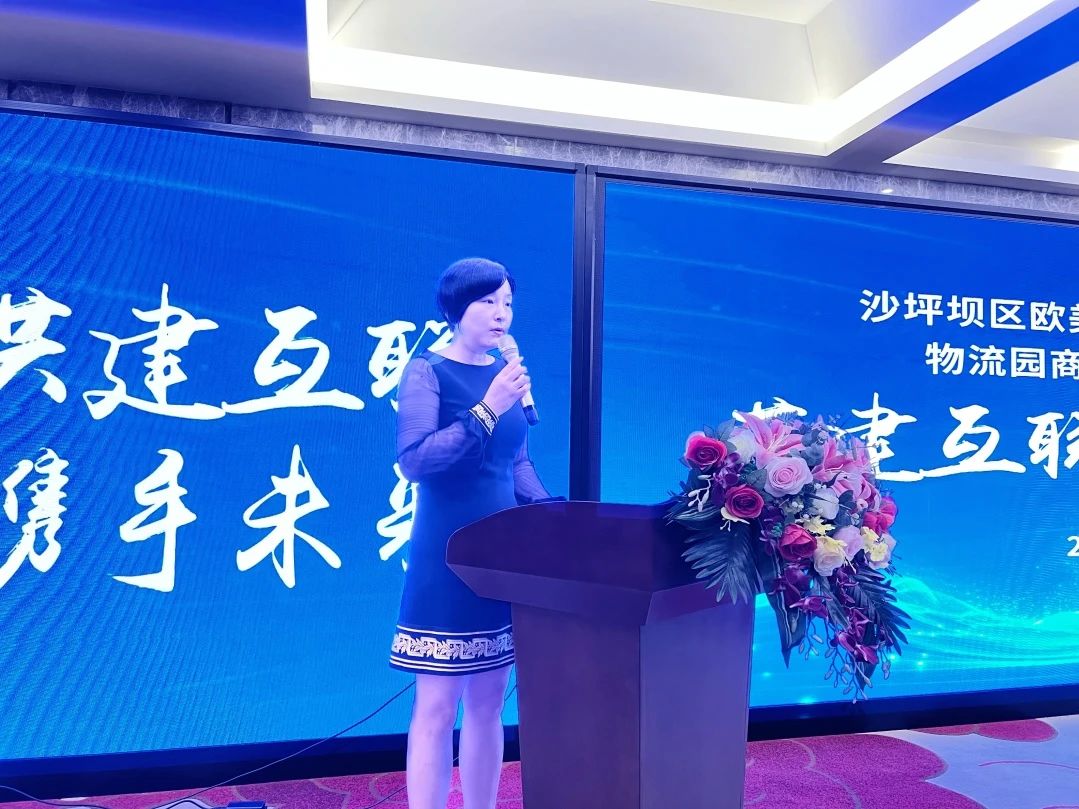 共建互联 携手未来|沙坪坝区欧美同学会&民进会员&物流园商会&企业家代表来访三羊马(图3) 4.jpg